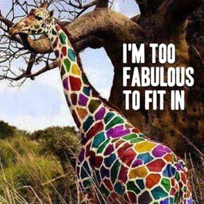 too fabulous