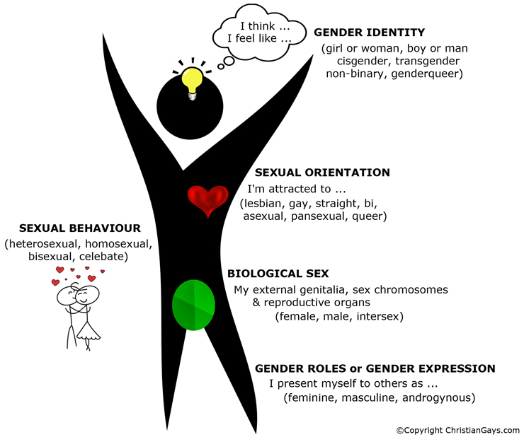 Sex, Gender, Orientation Graphic