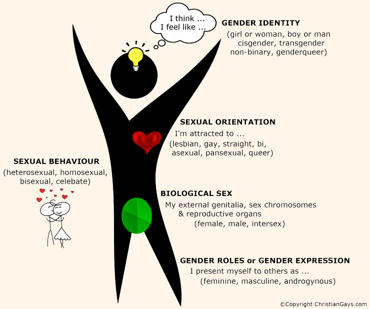 Sex, Gender, Orientation Graphic 1