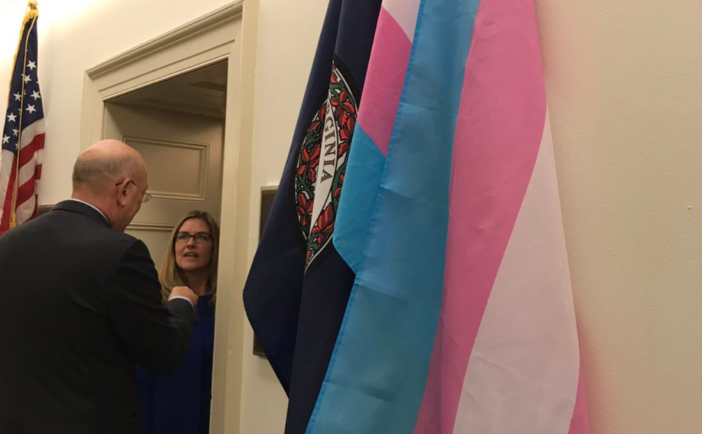 Wexler Trans Flag