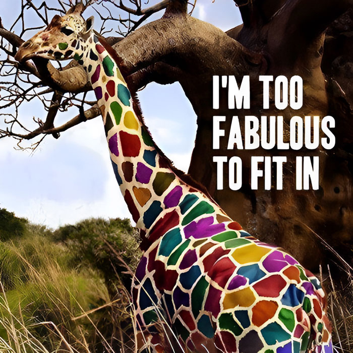 I'm too fabulous to fit in