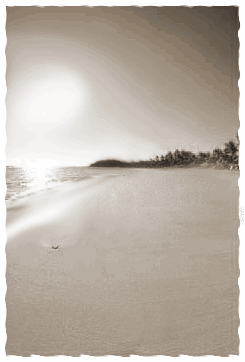 footprints in the sand